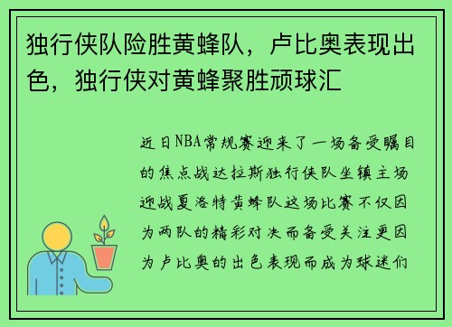 独行侠队险胜黄蜂队，卢比奥表现出色，独行侠对黄蜂聚胜顽球汇
