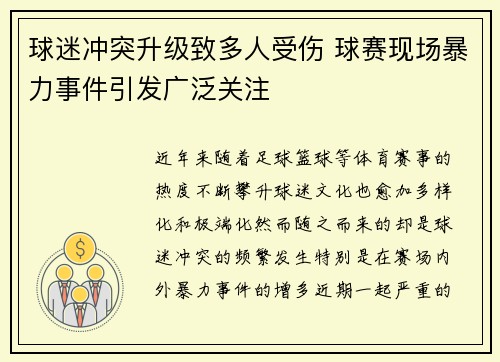 球迷冲突升级致多人受伤 球赛现场暴力事件引发广泛关注